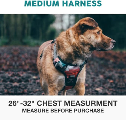 Embark Adventure Medium Dog Harness – No-Pull, Reflective Trim, Military-Grade Nylon, Front Clip with Gel-Lined Handle