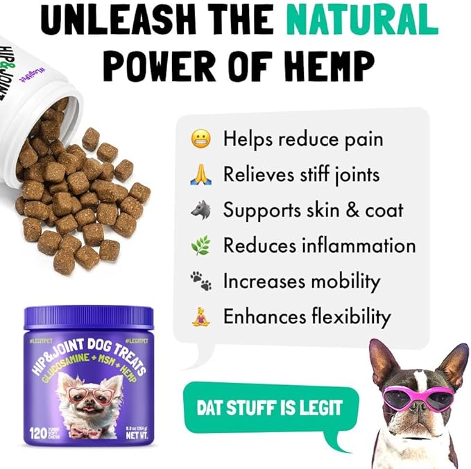 Cranberry UTI Chews for Dogs Bladder Support + D-Mannose Supports Kidney Urinary Tract 30 Chews and Hemp Hip & Joint Supplement for Dogs 120 Soft Chews