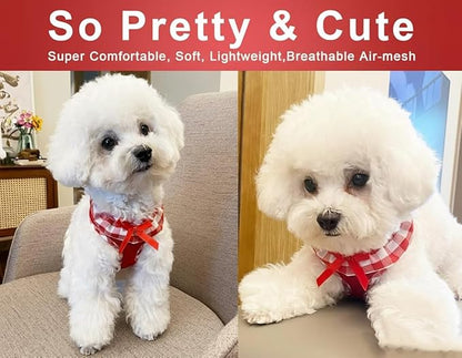 SuperBuddy Upgraded Soft Mesh Dog Harness, Super Breathable Lightweight Pet Harnesses for Puppy Dogs Outdoor Walking, Red Dog Harness and Dog Leash Set Packing -Medium