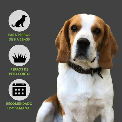FURminator Medium Dog Undercoat deShedding Tool,Short Hair,Reduces Loose Hair from Shedding,(Pack of 12)