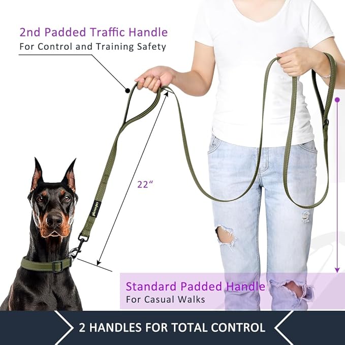 Plutus Pet Double Handle Dog Leash 4ft, Heavy Duty, Reflective Dual Handle Dog Leash for Safety Training, for Medium Large Dogs,2 Handle Leads, Ranger Green
