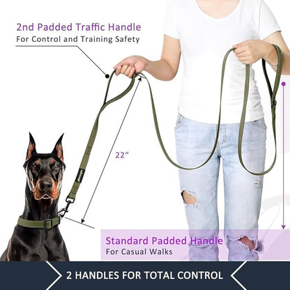 Plutus Pet Double Handle Dog Leash 4ft, Heavy Duty, Reflective Dual Handle Dog Leash for Safety Training, for Medium Large Dogs,2 Handle Leads, Ranger Green