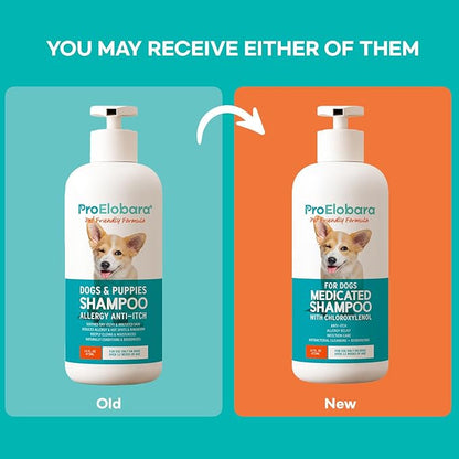 Medicated Dog Shampoo for Allergies and Itching: Antifungal Dog Shampoo, Yeast Infection and Bacterial Treatment for Dogs - Helps Hot Spots, Deodorizing and Anti Itch - Healthy Skin & Coat 16 OZ