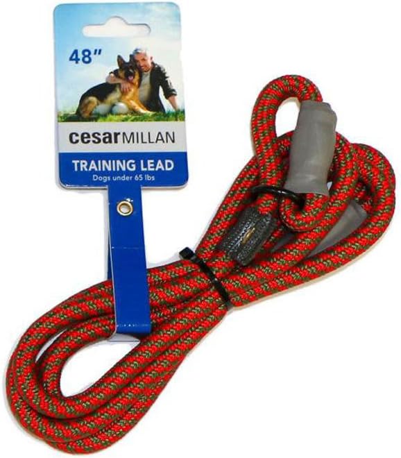 Cesar Millan Slip Lead Leash | Dog Leash | in Training Leash | (Regular, Red/Olive)