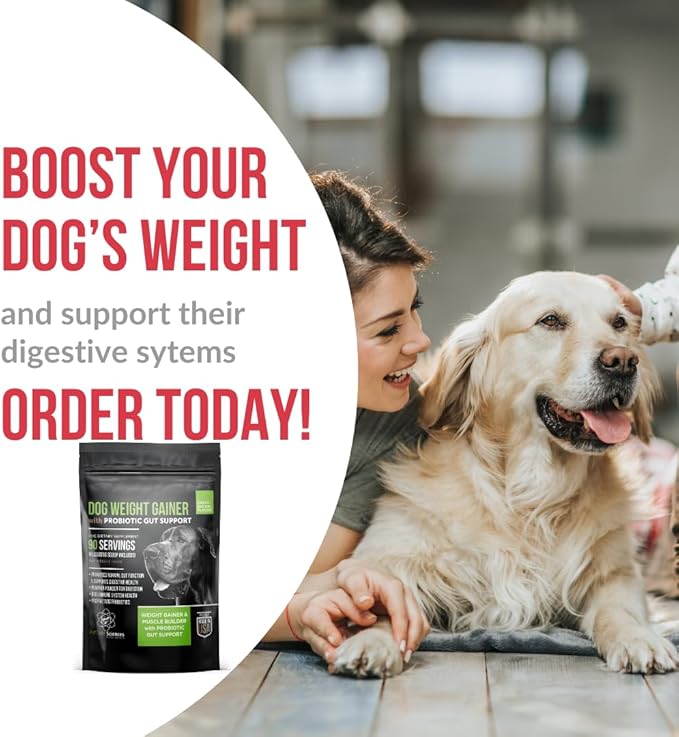 Dog Weight Gainer with Probiotic Gut Support - Weight Gain Supplements for Dogs - Canine and Dog Muscle Builder - 90 Servings - Made in The USA