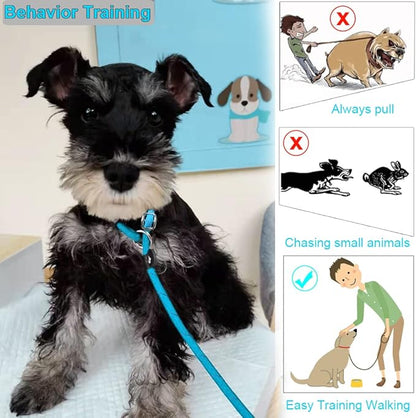 BTINESFUL 10FT / 15FT / 20FT Slip Lead Dog Leash, Reflective 1/3” Rope Leash Long Training Lead for Small Medium Dogs (15ft, Blue)