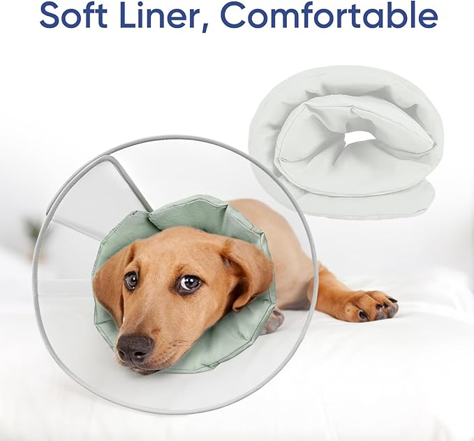 Supet Upgraded Dog Cone with Soft Liner, 20% Lighter Plastic Elizabeth Collar After Surgery to Stop Licking, for Spay Neuter Skin Problems Recovery, for Small Medium Active Large Dogs(Green,S)