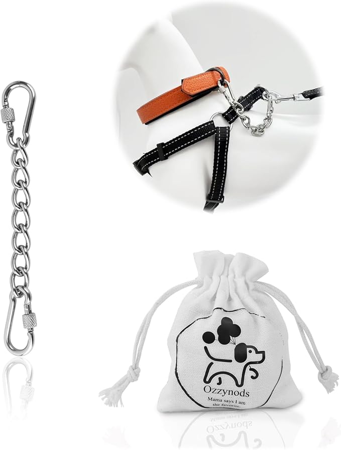 Dog Collar Safety Clip, Chew Proof Prong Collar Double Ended Backup Clasp Stainless Steel, Heavy Duty Dog Chain Leash Connector for Harness, Pinch, Gentle Lead with Carabiner, 6in