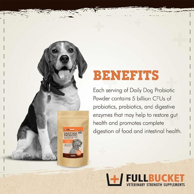 FullBucket Daily Dog Probiotic 150 Servings - Support Natural Digestion, Treat & Prevent Diarrhea - Probiotics, Prebiotics & Digestive Enzymes All in One Tasty Probiotic Powder for Dogs