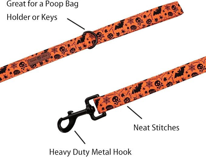 Lionet Paws Dog Leash for Small Dogs, Orange, 5/8in x 4ft