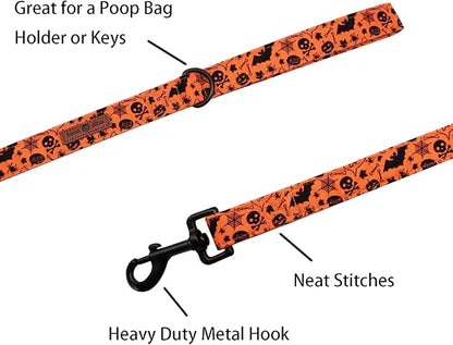Lionet Paws Dog Leash for Small Dogs, Orange, 5/8in x 4ft