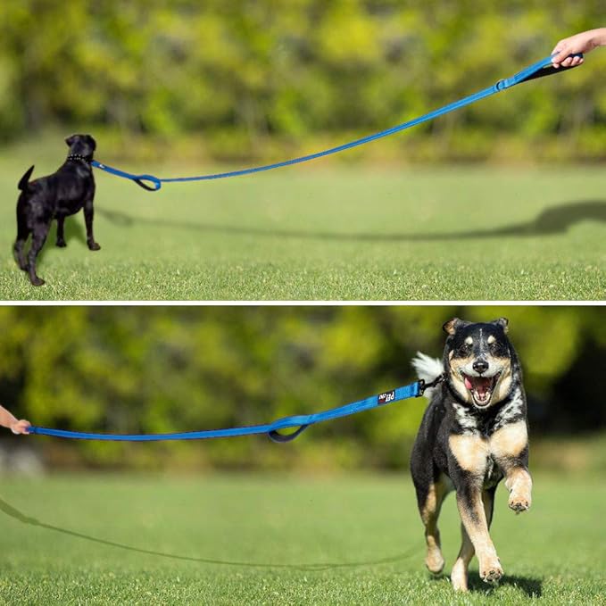 Plutus Pet Double Handle Dog Leash 4ft, Heavy Duty, Reflective Dual Handle Dog Leash for Safety Training, for Medium Large Dogs,2 Handle Leads(Blue)