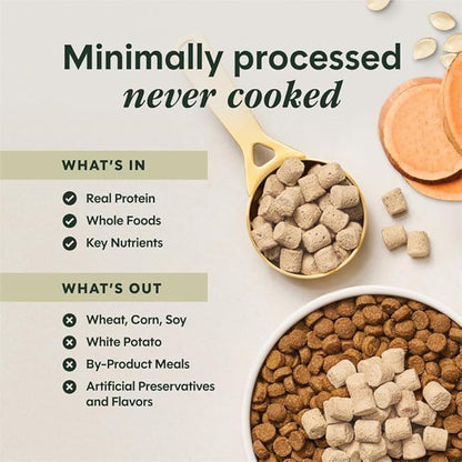 Instinct RawBoost Functional Mixers, Freeze Dried Dog Food Topper, Grain-Free, Real Beef - Multivitamin for Adults, 12.5 oz. Bag