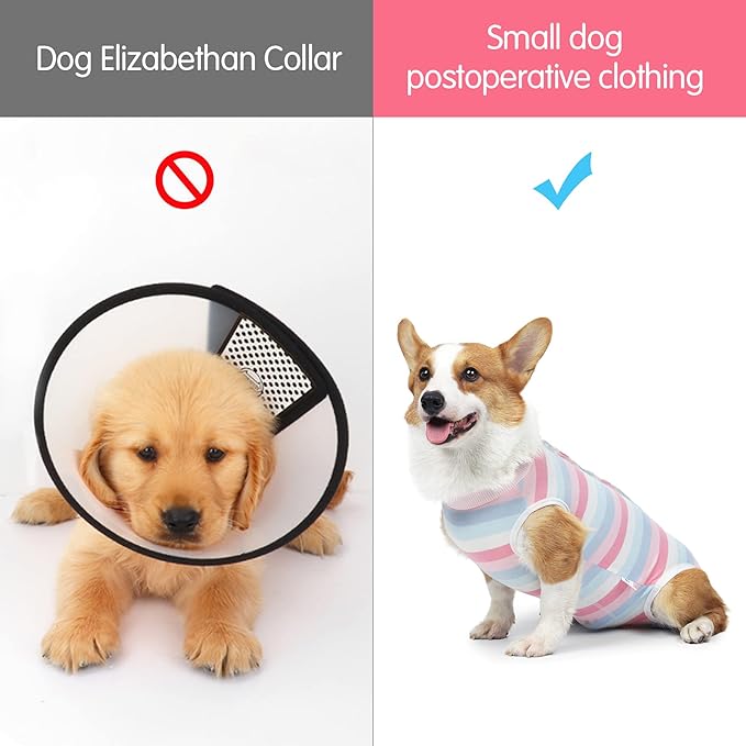 Coppthinktu Recovery Suit for Dogs Dog Onesie for Surgery, Dog Surgery Recovery Suit for Small Medium Dogs, E-Collar Alternative Anti Licking Abdominal Wounds Pet Surgery Recovery Neuter Suit