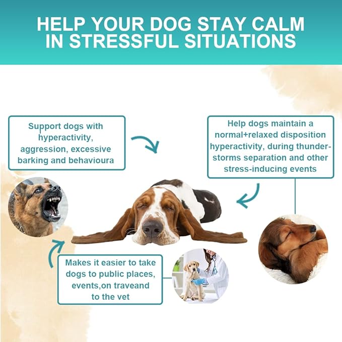 Calming Powder for Dogs - Anxiety & Stress Relief Supplement with Organic Hemp, Valerian Root - Behavioral Support, Fireworks & Travel Aid - Beef Flavor, 90g Powder (ND-046)