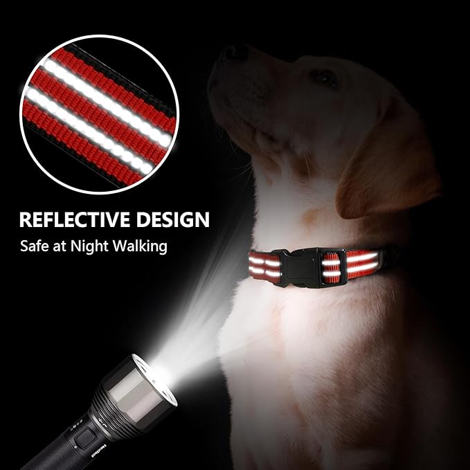 Hikiko Martingale Dog Collars Reflective Nylon Dog Collar with Quick Release Buckle Adjustable Training No Slip Dog Collar (Large, Tangerine)