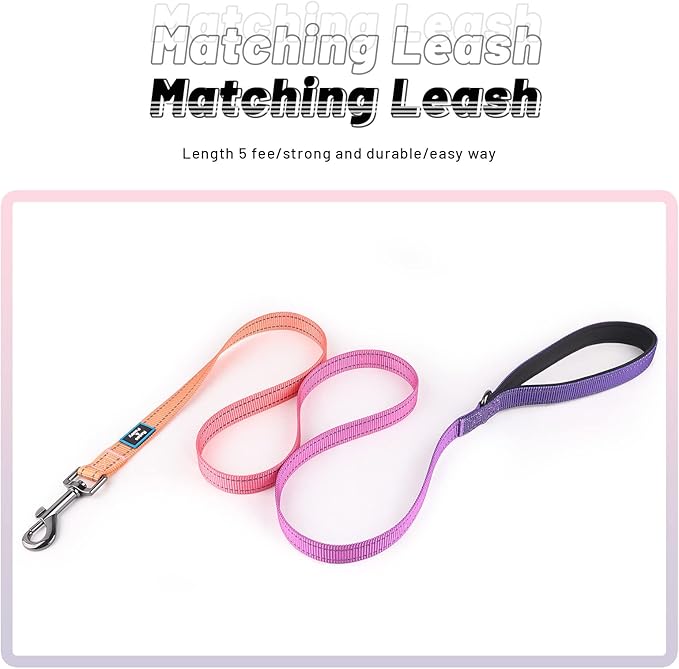 Roses&Poetry Reflective Small Dog Collar and Leash Set, Puppy Personalized Boy and Girl Collar with Leash, Adjustable Nylon Durable Pet Matching Collars Leashes for Small Puppies（Mistyrose-S
