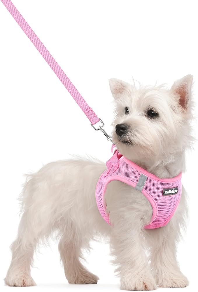 rabbitgoo Dog Harness Small Sized and Leash Set, Step in Soft Light Puppy Vest, Breathable Mesh Pet Harness, Reflective for Safe Easy Walking, Light Pink S
