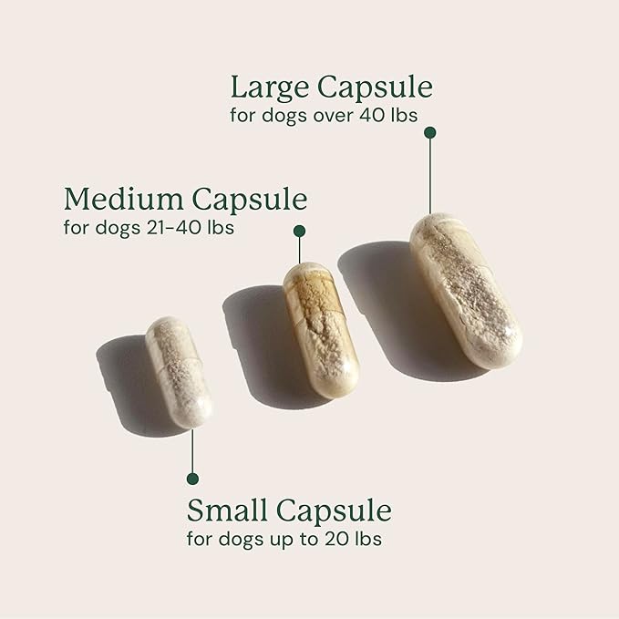 Animal Biome Probiotics for Dogs with S Boulardii, Gut Maintain (60 Capsules) – Triple-Action Medium Dog Probiotics, Prebiotics & Phage Supplements for Gut Health, Firmer Stool & Diarrhea Support