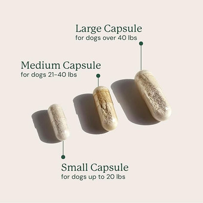 Animal Biome Probiotics for Dogs with S Boulardii, Gut Maintain (60 Capsules) – Triple-Action Large Dog Probiotics, Prebiotics & Phage Supplements for Gut Health, Firmer Stool & Diarrhea Support