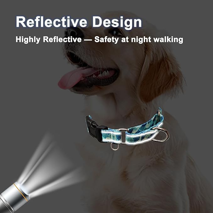 Reflective Martingale Collar with Buckle Adjustable Nylon Training Pet Collars for Large Dogs (Turquoise Shell, L)