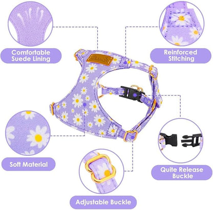 Lukovee Puppy Harness and Leash Set, No Pull Lightweight Soft Suede Adjustable Pet Harness Vest with Snap Buckle for Puppy Small and Medium Size Dog (Purple-XS)