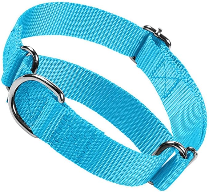 Dog Collar Martingale, Escape Proof Dog Choke Collar No Pull Cinch Dog Training Collars Adjustable for Small Medium Large Breed Pet Dogs, Light Blue S