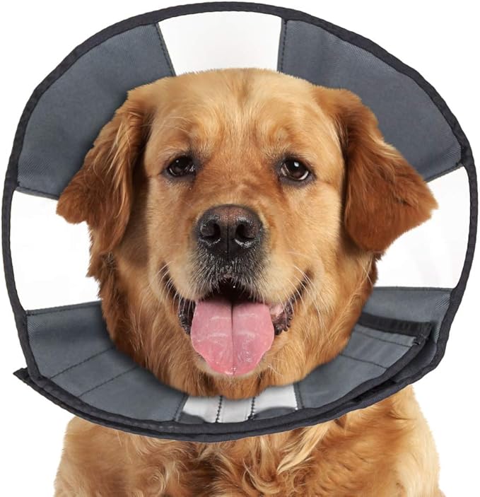 ZenPet Recovery Cone E-Collar for Dogs & Cats – Soft, Comfortable, Safe & Stress-Free Healing After Surgery, Adjustable Design, Secure Custom Fit (X-Large)