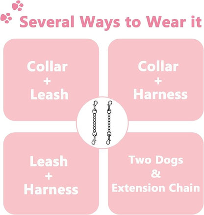 2 PCS Dog Collar Metal Safety Clip, Harness Collar Leash Chain Connector, Heavy Duty Double End Spring Backup Buckle Clasp, Escape-Proof Safety Accessory (Medium, Black)