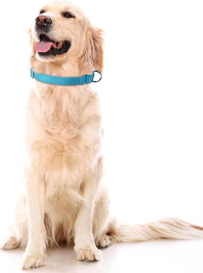 SGODA Martingale Dog Collar, Reflective Nylon Padded Dog Training Collars for Small Dogs, Orange S
