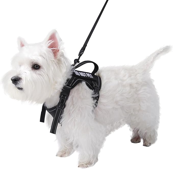 Tactical Dog Harness for Small Dog - Reflective Puppy Pet Vest No Pull Military Service Dog Vest with Vertical Handle XS Dog Harness for Outdoor Training