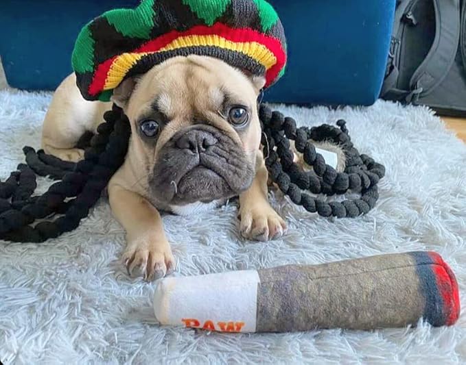 Nestpark Doggy Doobie - Funny Dog Toys - Plush Squeaky Toys for Medium, Small and Large - Cool Stuffed for Dog Birthday