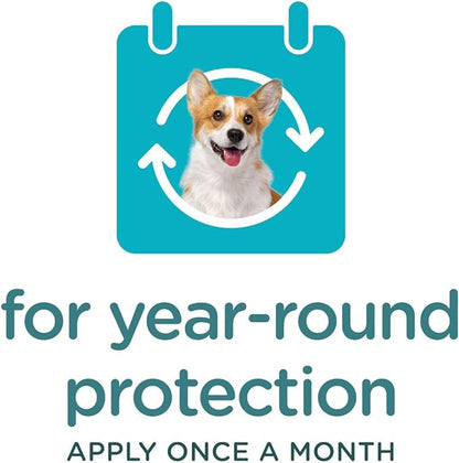 Sergeant's Guardian Flea & Tick Squeeze On Topical for Dogs, 66+ lbs., 3 Count