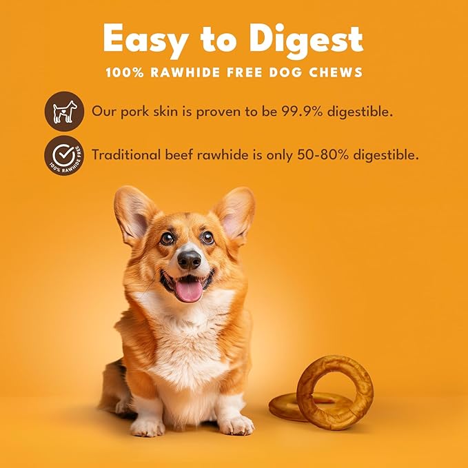 Pork Chomps Roasted Pork Skin Dog Chew, 6 Inch Bagel, 1 Count, Pack of 3 - Long-Lasting Treats for Dogs - High Protein, Rawhide-Free, Low Fat, Healthy & Delicious Chews