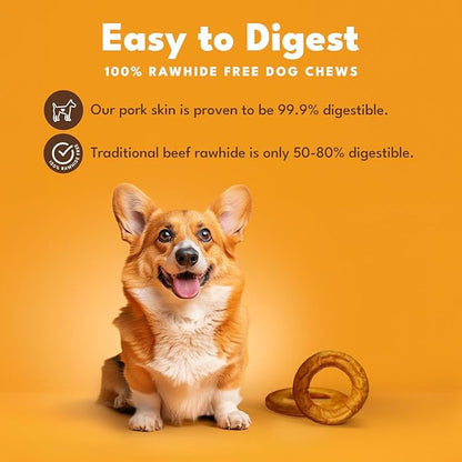 Pork Chomps Roasted Pork Skin Dog Chew, 6 Inch Bagel, 1 Count, Pack of 3 - Long-Lasting Treats for Dogs - High Protein, Rawhide-Free, Low Fat, Healthy & Delicious Chews