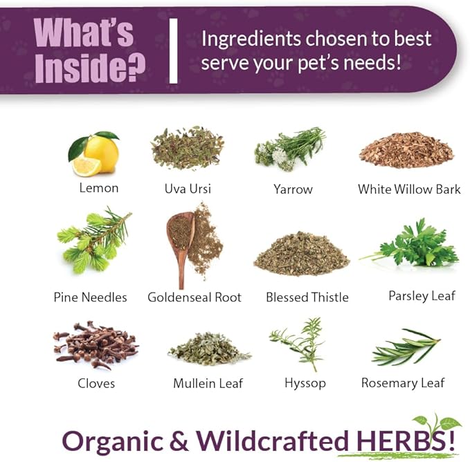 Amber NaturalZ Kidney Rejuvenator Herbal Supplement for Dogs, Cats, Birds, Rabbits, and Guinea Pigs | Supports Normal Kidney Function | Natural Aid for Kidney Health 1 Fluid Ounce