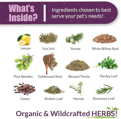 Amber NaturalZ Kidney Rejuvenator Herbal Supplement for Dogs, Cats, Birds, Rabbits, and Guinea Pigs | Supports Normal Kidney Function | Natural Aid for Kidney Health 1 Fluid Ounce