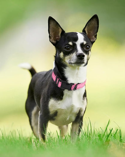 Joytale Reflective Dog Collar, Soft Neoprene Padded, Metal D-Ring, Nylon Pet Collar Adjustable for Puppy Dogs, Pink, XS