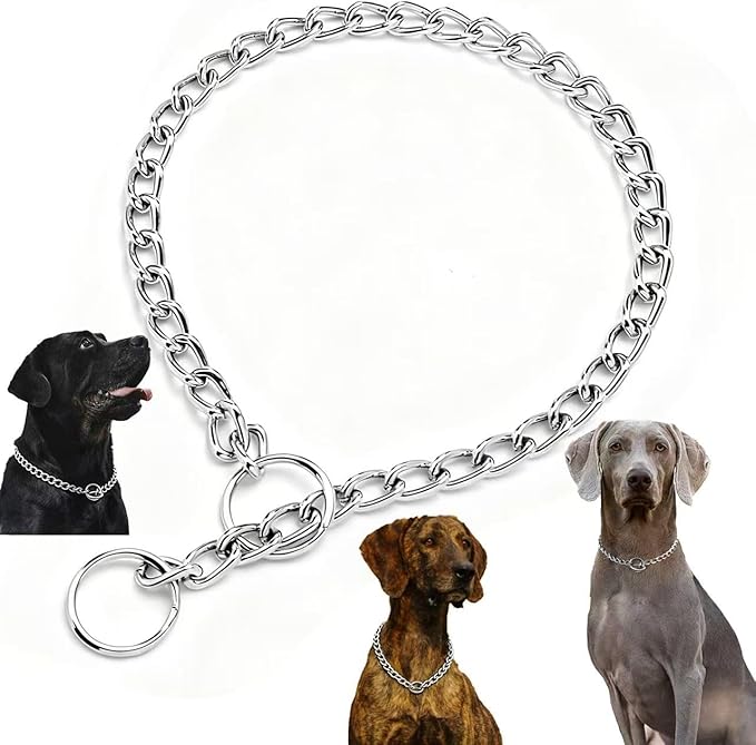 Small Dog Collar, Puppy Training Slip Chain Collar with Quick & Easy Adjustment, Durable Metal for XXS XS Breeds, Silver XXS