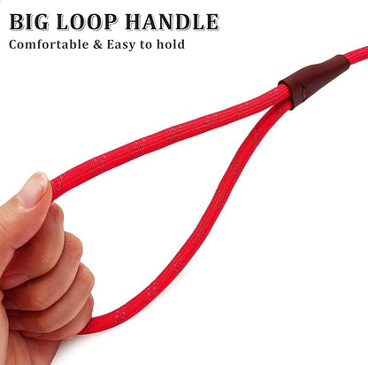 WYUZE 8ft Slip Lead Dog Leash, Reflective No Pull Dog Training Lead, 1/3" Nylon Rope Slip Control Leash for Small Medium Dogs, Red