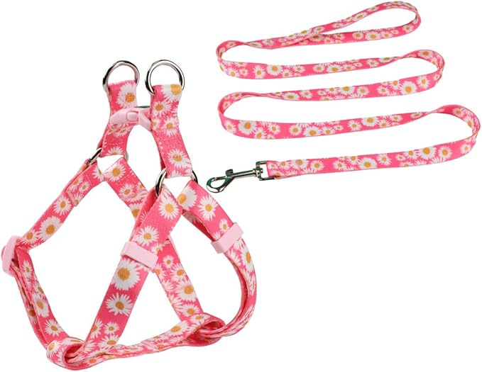 Harness and Leash Set, Floral Pattern, 5ft Matching Leash, No Pull, Easy Wear for Small Dogs.(S, Pink Daisy)