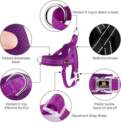 Plutus Pet No Pull Dog Harness with Breathable Mesh Padded, Adjustable Reflective Escape Proof Dog Harness, Quick Fit Dog Vest Harness for Small Medium Large Dogs(L, Purple)