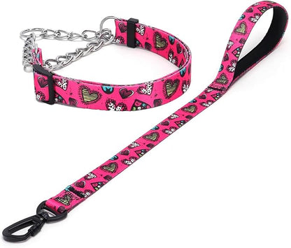 Martingale Dog Collar and Leash Set, Stainless Steel Chain, No Pull Training Collar with Flower Design, for Small, Medium, Large Dogs (NO1, L)