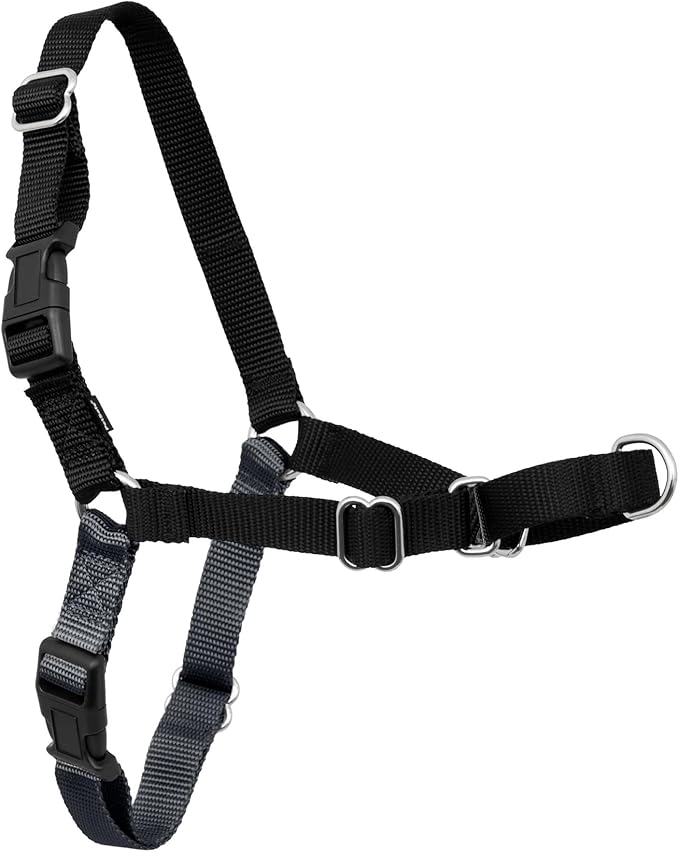 PetSafe Easy Walk Harness for Dogs - Pull-Free Walks - Patented Martingale Loop Design - Front Chest Leash Attachment - Comfort Straps - Breathable Harness Design - X-Large, Charcoal/Black