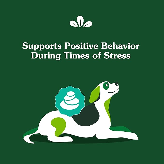 Greenies Supplements Calming Chews for Dogs Chicken Flavor, Dog Calming Chews, 7.3 oz. Container of 40 Count