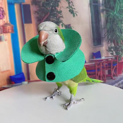 Pet Parrot Anti-bite Elizabethan Collars, Anti-Grab Feather Plucking Wound Healing Safety Recovery Collar Cones for Budgerigar Lovebird Conure Cockatiel Cockatoo Random Color (2M)