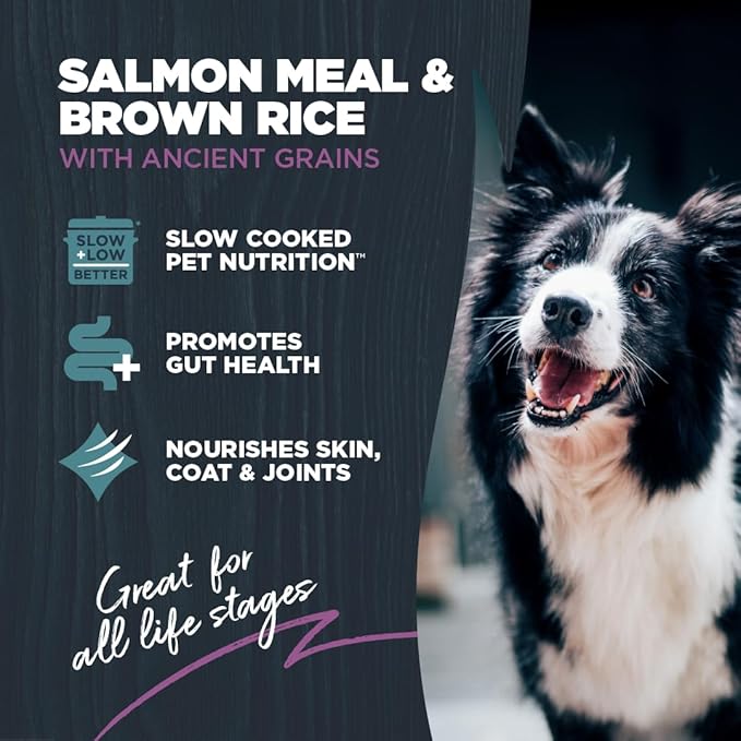 Blackwood Sensitive Skin & Stomach Dry Dog Food, Salmon Meal & Brown Rice with Ancient Grains, 10 Pound Bag with Prebiotics & Probiotics to Promote Gut Health
