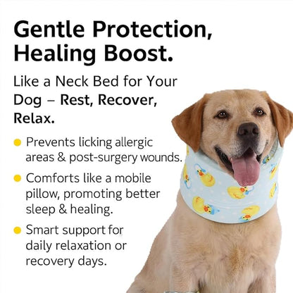 LovinPet Dog Recovery Collar, Adjustable Soft Cone for Medium & Large Dogs, Post-Surgery Comfort & Lick Prevention, Ducks with Hats Print,Blue