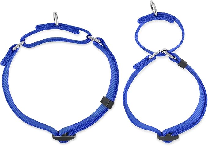 Hyhug Martingale Dog Collar Medium Blue |Escape - Proof Heavy Duty Nylon Durable No Slip, Ideal for Training & Daily Walks