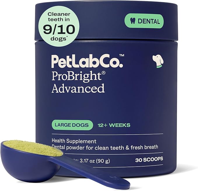 PetLab Co. ProBright Advanced Dental Powder - Dog Breath Freshener - Teeth Cleaning Made Easy – Targets Tartar & Bad Breath - Packaging May Vary - Formulated for Large Dogs